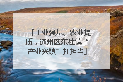 工业强基、农业提质，通州区东社镇“产业兴镇”扛担当