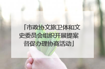 市政协文旅卫体和文史委员会组织开展提案督促办理协商活动