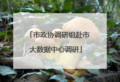 市政协调研组赴市大数据中心调研