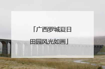 广西罗城夏日田园风光如画