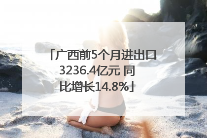 广西前5个月进出口3236.4亿元 同比增长14.8%