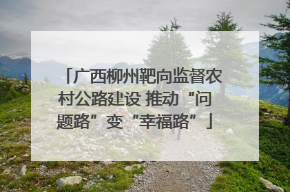 广西柳州靶向监督农村公路建设 推动“问题路”变“幸福路”