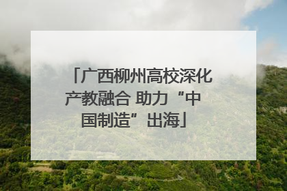 广西柳州高校深化产教融合 助力“中国制造”出海