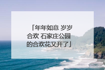 年年如意 岁岁合欢 石家庄公园的合欢花又开了