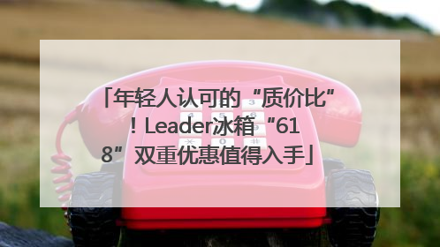 年轻人认可的“质价比”！Leader冰箱“618”双重优惠值得入手