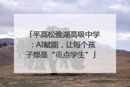 平高松雅湖高级中学：AI赋能，让每个孩子都是“重点学生”