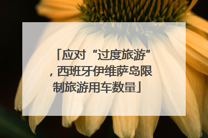 应对“过度旅游”，西班牙伊维萨岛限制旅游用车数量