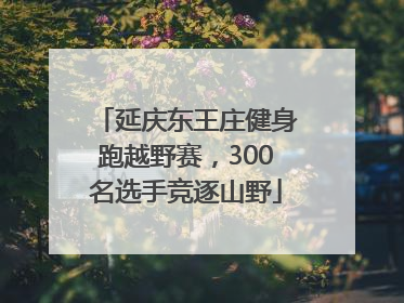 延庆东王庄健身跑越野赛，300名选手竞逐山野