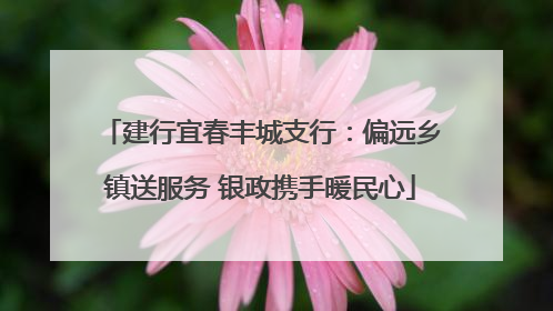 建行宜春丰城支行：偏远乡镇送服务 银政携手暖民心