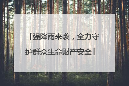 强降雨来袭，全力守护群众生命财产安全