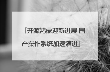开源鸿蒙迎新进展 国产操作系统加速演进