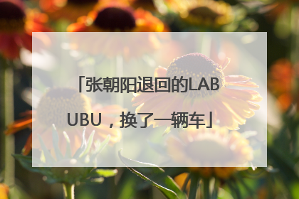 张朝阳退回的LABUBU，换了一辆车
