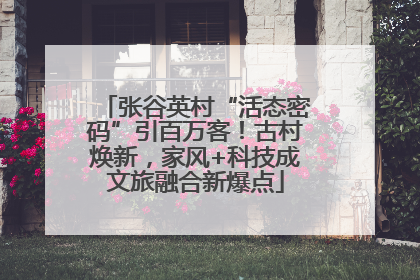 张谷英村“活态密码”引百万客！古村焕新，家风+科技成文旅融合新爆点