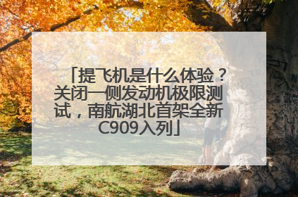 提飞机是什么体验？关闭一侧发动机极限测试，南航湖北首架全新C909入列