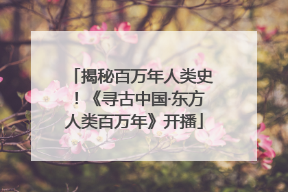 揭秘百万年人类史！《寻古中国·东方人类百万年》开播