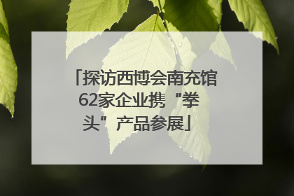 探访西博会南充馆 62家企业携“拳头”产品参展