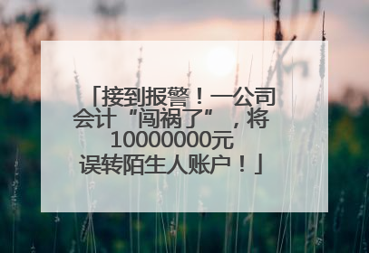 接到报警！一公司会计“闯祸了”，将10000000元误转陌生人账户！
