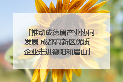 推动成德眉产业协同发展 成都高新区优质企业走进德阳和眉山