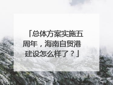 总体方案实施五周年，海南自贸港建设怎么样了？