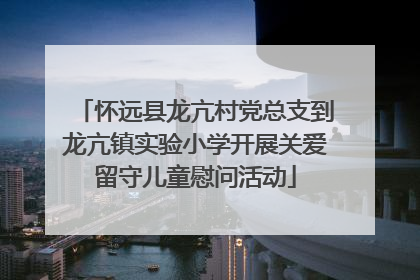 怀远县龙亢村党总支到龙亢镇实验小学开展关爱留守儿童慰问活动