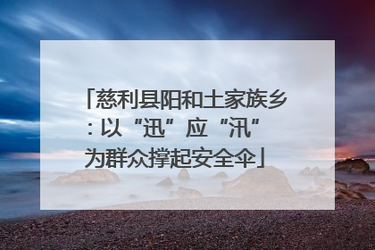 慈利县阳和土家族乡：以“迅”应“汛” 为群众撑起安全伞