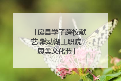 房县学子跨校献艺 燃动湖工职院思美文化节