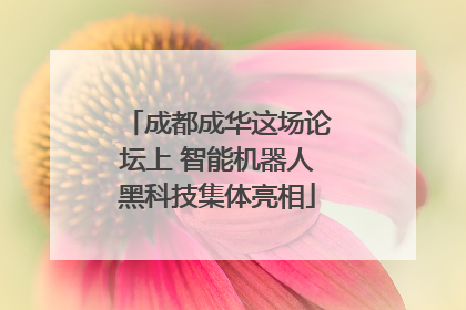 成都成华这场论坛上 智能机器人黑科技集体亮相