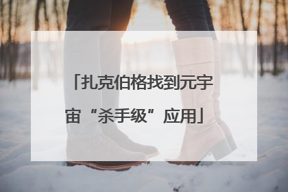 扎克伯格找到元宇宙“杀手级”应用