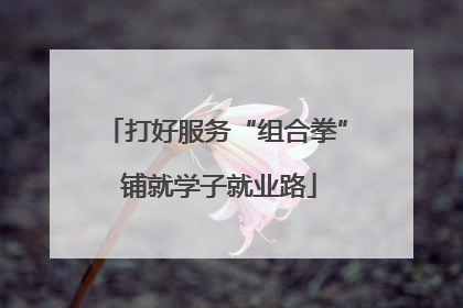 打好服务“组合拳” 铺就学子就业路