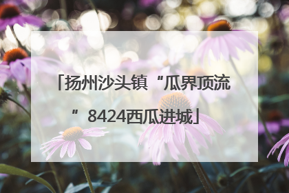 扬州沙头镇“瓜界顶流”8424西瓜进城