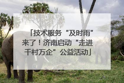 技术服务“及时雨”来了！济南启动“走进千村万企”公益活动