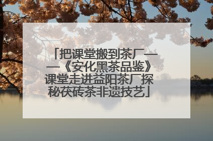 把课堂搬到茶厂——《安化黑茶品鉴》课堂走进益阳茶厂探秘茯砖茶非遗技艺