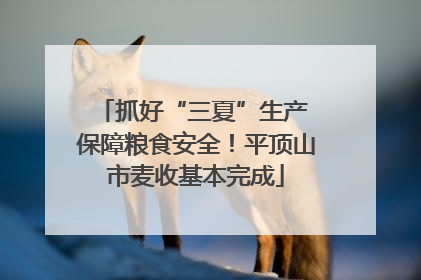 抓好“三夏”生产 保障粮食安全！平顶山市麦收基本完成