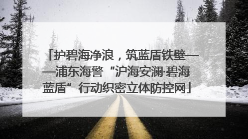 护碧海净浪，筑蓝盾铁壁——浦东海警“沪海安澜·碧海蓝盾”行动织密立体防控网