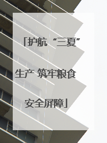 护航“三夏”生产 筑牢粮食安全屏障