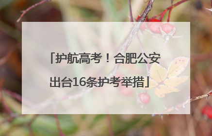 护航高考！合肥公安出台16条护考举措