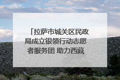 拉萨市城关区民政局成立银领行动志愿者服务团 助力西藏银发经济发展