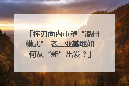 挥刃向内重塑“温州模式” 老工业基地如何从“新”出发？