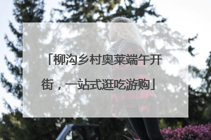 柳沟乡村奥莱端午开街，一站式逛吃游购