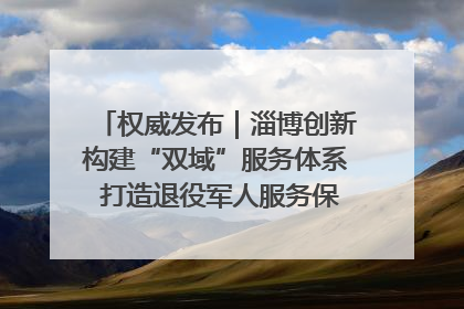权威发布｜淄博创新构建“双域”服务体系 打造退役军人服务保障“淄博样板”