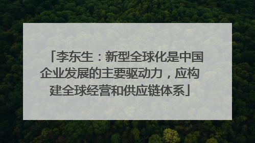 李东生：新型全球化是中国企业发展的主要驱动力，应构建全球经营和供应链体系