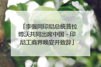 李强同印尼总统普拉博沃共同出席中国－印尼工商界晚宴并致辞