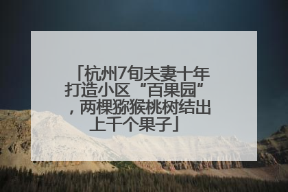 杭州7旬夫妻十年打造小区“百果园”，两棵猕猴桃树结出上千个果子
