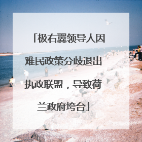 极右翼领导人因难民政策分歧退出执政联盟，导致荷兰政府垮台