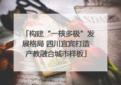构建“一核多极”发展格局 四川宜宾打造产教融合城市样板