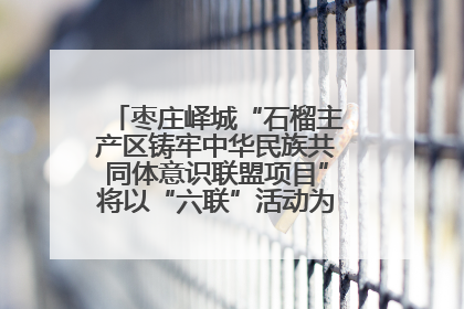枣庄峄城“石榴主产区铸牢中华民族共同体意识联盟项目”将以“六联”活动为抓手深化品牌建设
