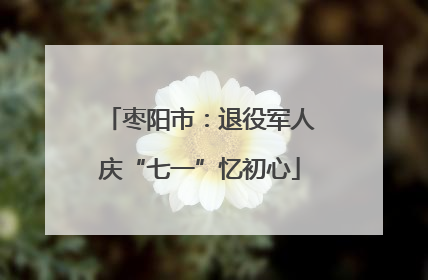 枣阳市：退役军人庆“七一”忆初心