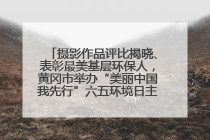 摄影作品评比揭晓、表彰最美基层环保人，黄冈市举办“美丽中国我先行”六五环境日主题宣传活动