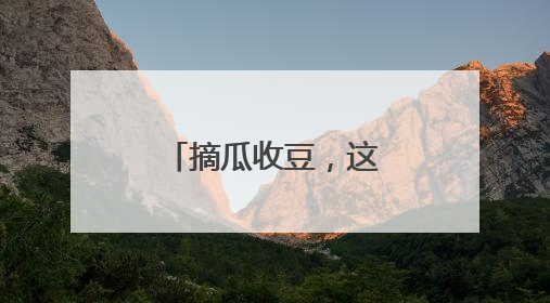 摘瓜收豆，这所高校毕业课有点“甜”