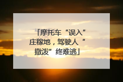摩托车“误入”庄稼地，驾驶人“撒泼”终难逃